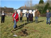 TREE PLANTING ON FOREST GREEN